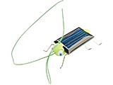 MAQUETA KIT MINI GRILLO SOLAR